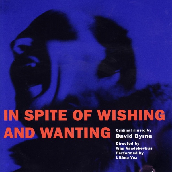 In Spite of Wishing and Wanting封面