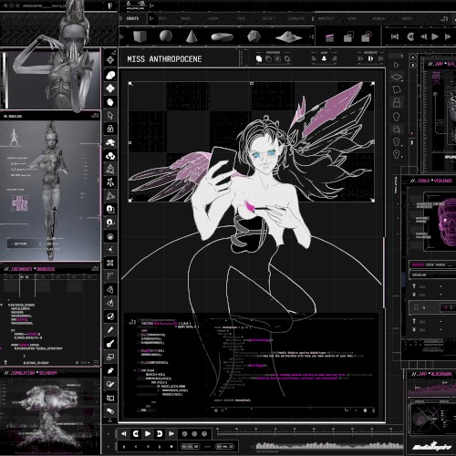 Miss Anthropocene封面