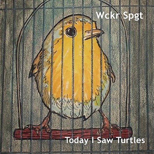 Today I Saw Turtles封面