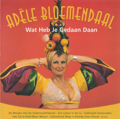 Wat heb je gedaan Daan封面