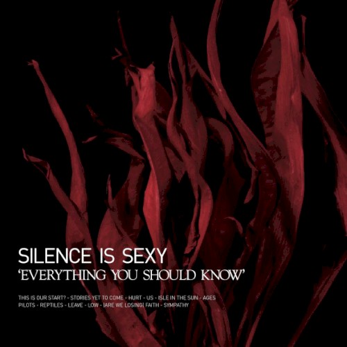Everything You Should Know封面