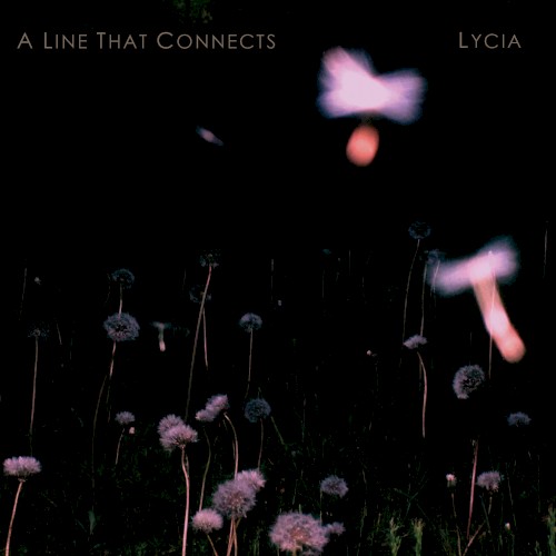 A Line That Connects封面