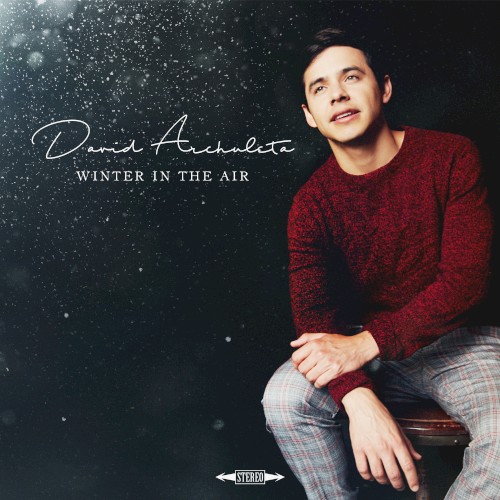 Winter in the Air封面