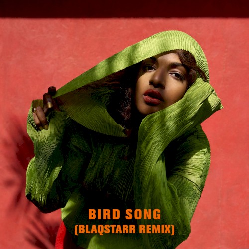 Bird Song (Blaqstarr remix)封面