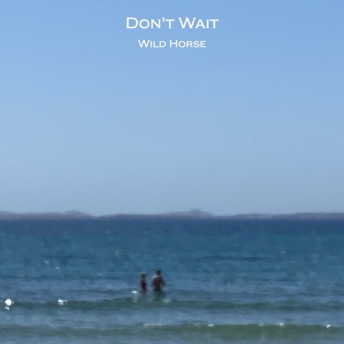 Don't Wait封面