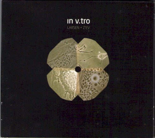 In V.Tro封面