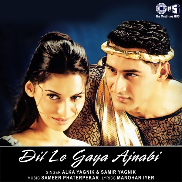 Dil Le Gaya Ajnabi封面