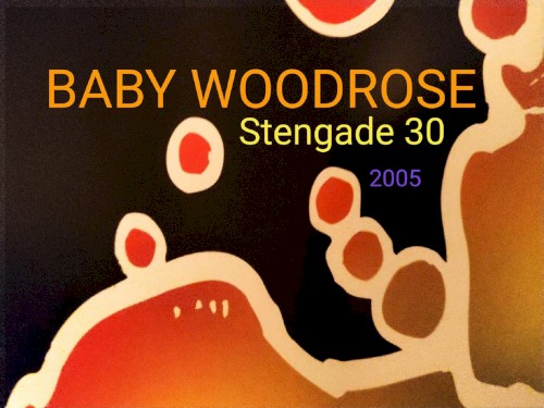 2005-10-13 Stengade 30, DK封面