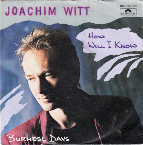 How Will I Know封面