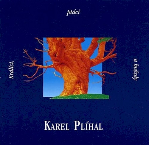 Králíci, ptáci a hvězdy封面