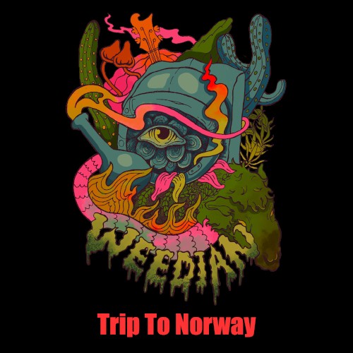 Weedian: Trip to Norway封面