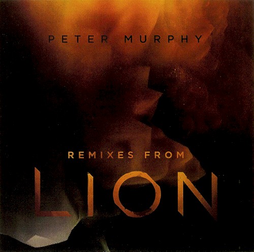 Remixes from Lion封面