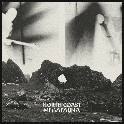 North Coast Megafauna封面