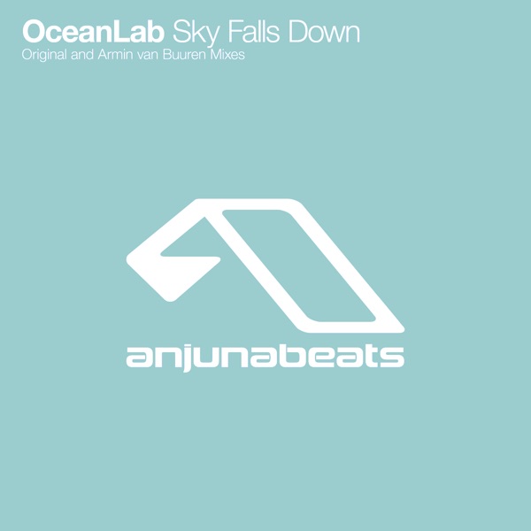 Sky Falls Down封面