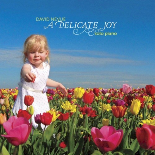 A Delicate Joy封面
