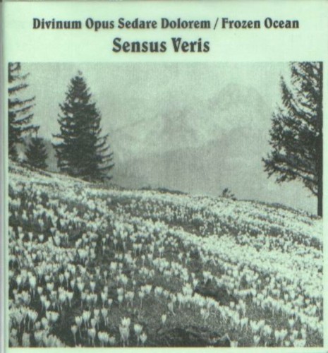 Sensus Veris封面
