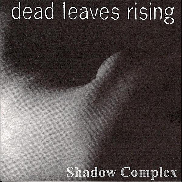 Shadow Complex封面