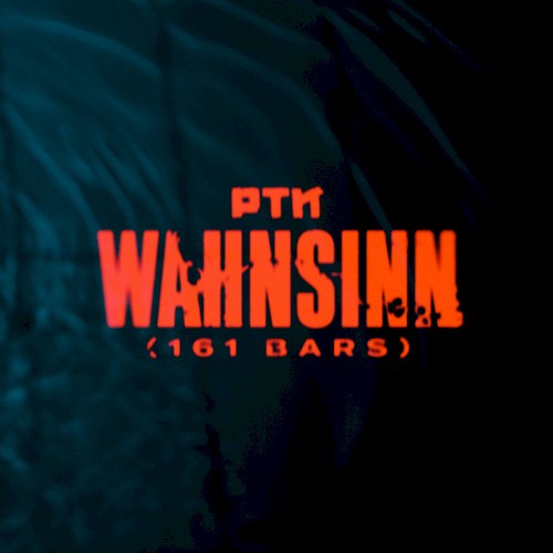 Wahnsinn (161 Bars)封面