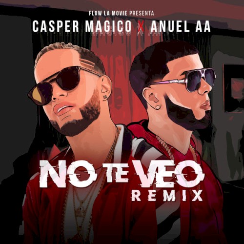 No te veo (remix)封面