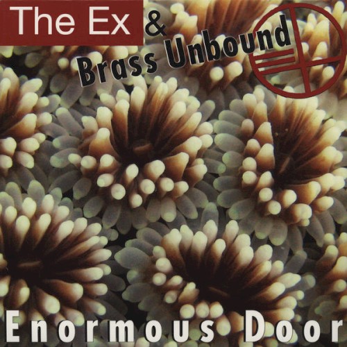 Enormous Door封面
