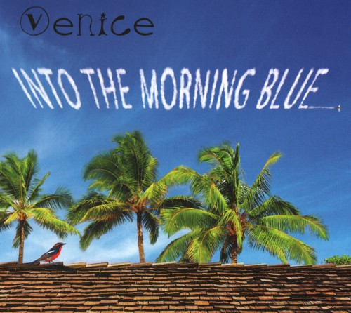 Into the Morning Blue封面