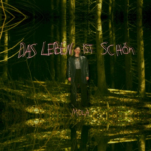 Das Leben ist schön封面