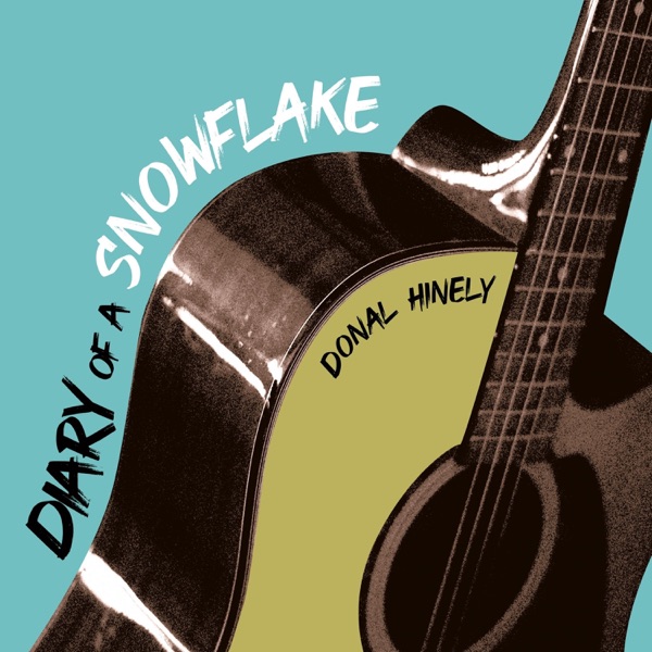 Diary Of A Snowflake封面