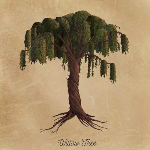Willow Tree封面