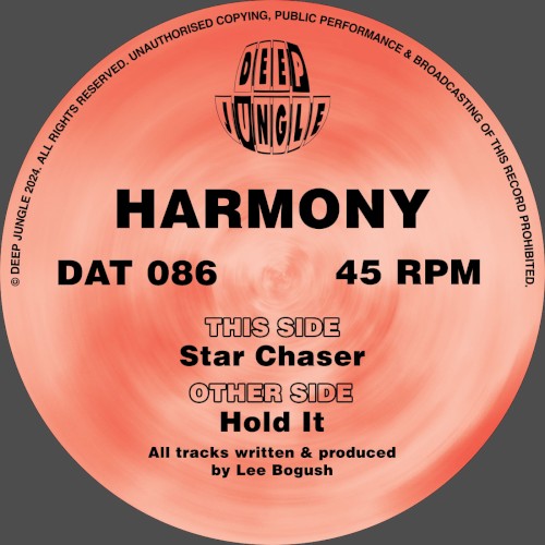 Hold It / Star Chaser封面