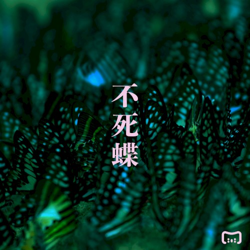 不死蝶封面