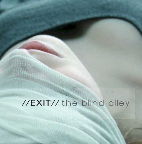 The Blind Alley封面