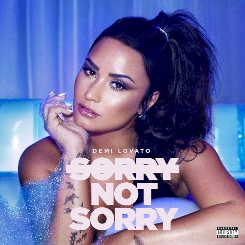 Sorry Not Sorry封面