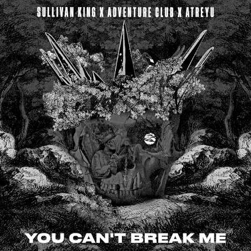 You Can’t Break Me封面