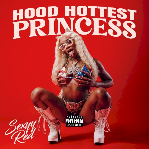 Hood Hottest Princess封面