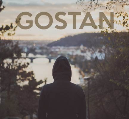 Team (Gostan Edit)封面