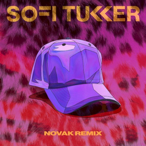 Purple Hat (Novak remix)封面