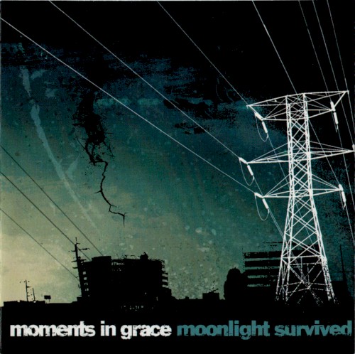 Moonlight Survived封面