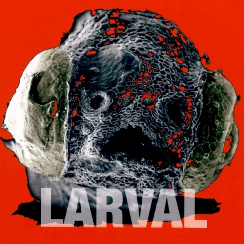 Larval封面