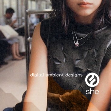 Digital Ambient Designs封面