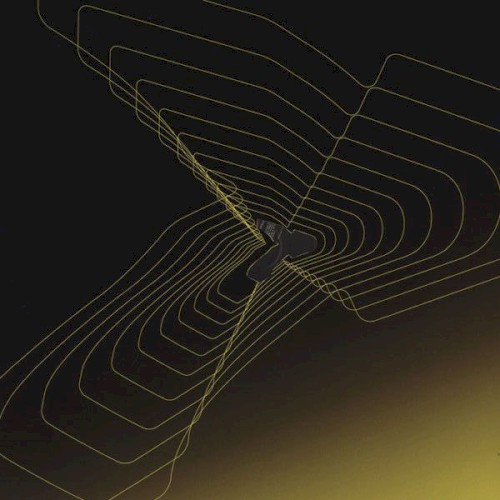 Paralexia / Ambiguity封面