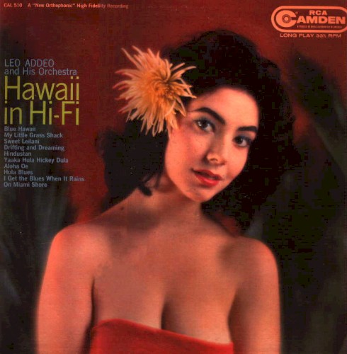 Hawaii in Stereo封面