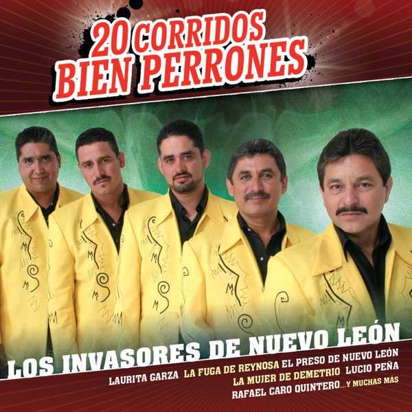 20 corridos bien perrones封面
