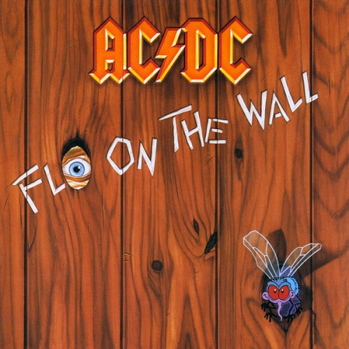 Fly on the Wall封面