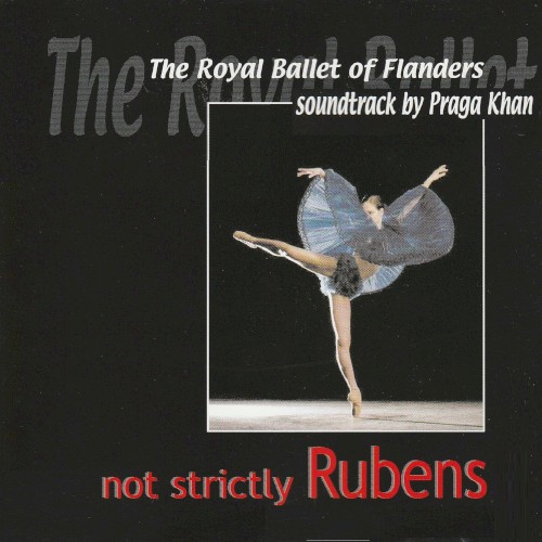 Not Strictly Rubens封面