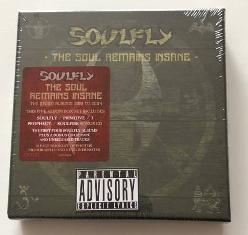 The Soul Remains Insane封面