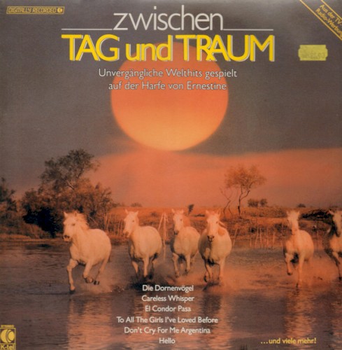 Zwischen Tag und Traum封面