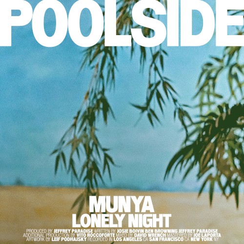 Lonely Night封面