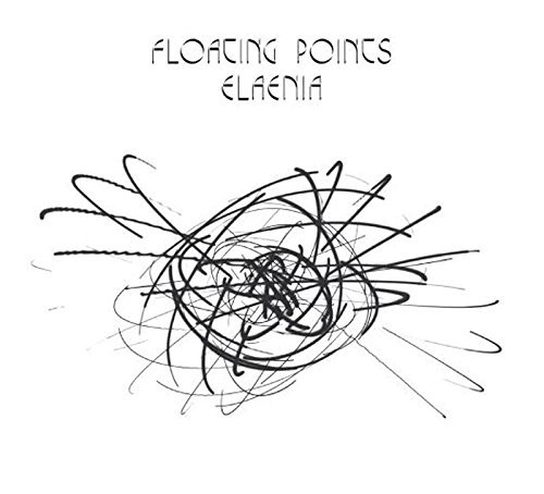Elaenia封面