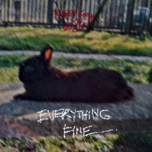 Everything Fine封面