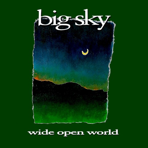 Wide Open World封面
